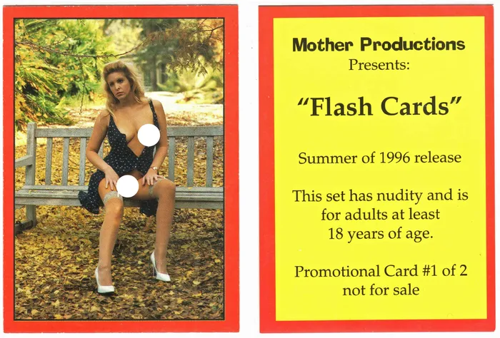 Flash Cards promos 1 2 2 cards Mother Productions Peter Comparettos Cards Vibrators Flash Cards promos 1 2 2 cards Mother Productions Peter Comparettos Cards Vibrators