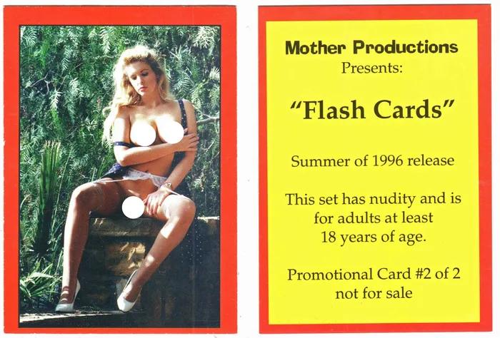 Flash Cards promos 1 2 2 cards Mother Productions Peter Comparettos Cards Vibrators