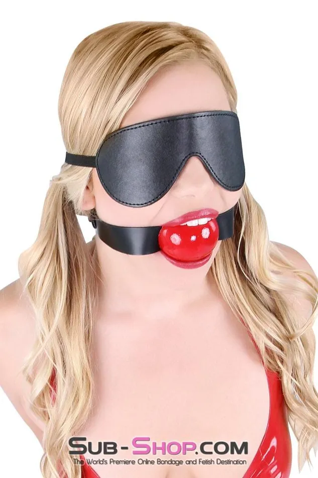 Idea Couples 8929DL Lovers Games Bondage Mask Blindfold